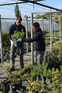 Gestión Forestal Sostenible, Jardinería y Agricultura Ecológica 